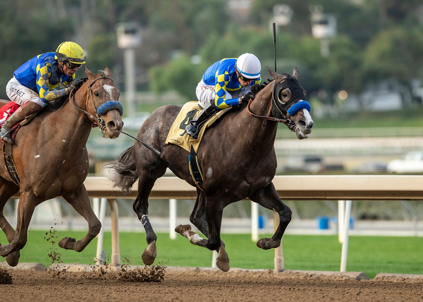 Road to the 2023 Kentucky Derby Sham Stakes analysis